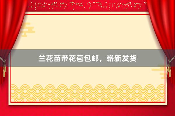 兰花苗带花苞包邮，崭新发货
